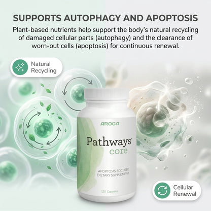 Pathways CORE