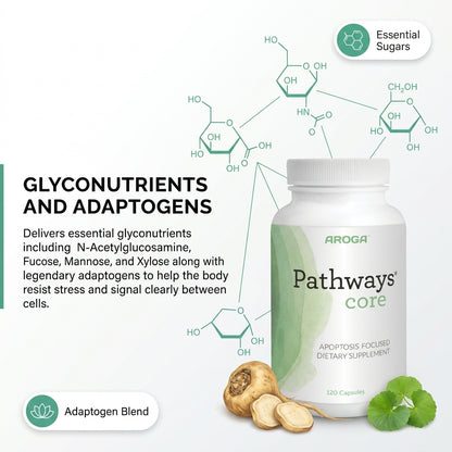Pathways CORE