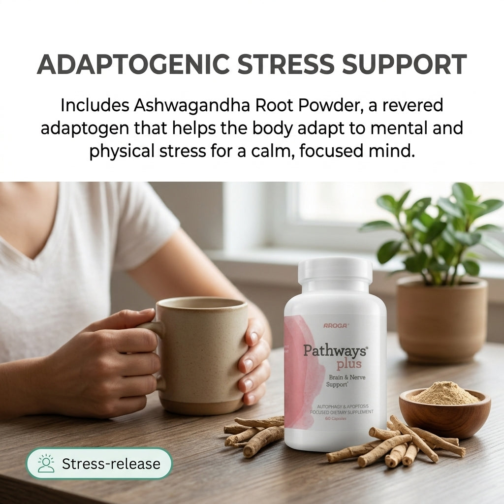 Pathways Plus Brain and Nerve Support