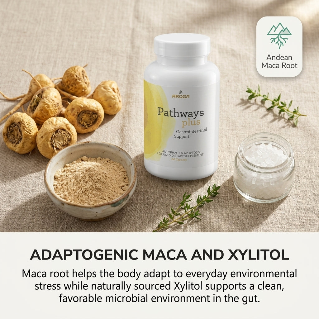 Pathways Plus Gastrointestinal Support (Capsules)