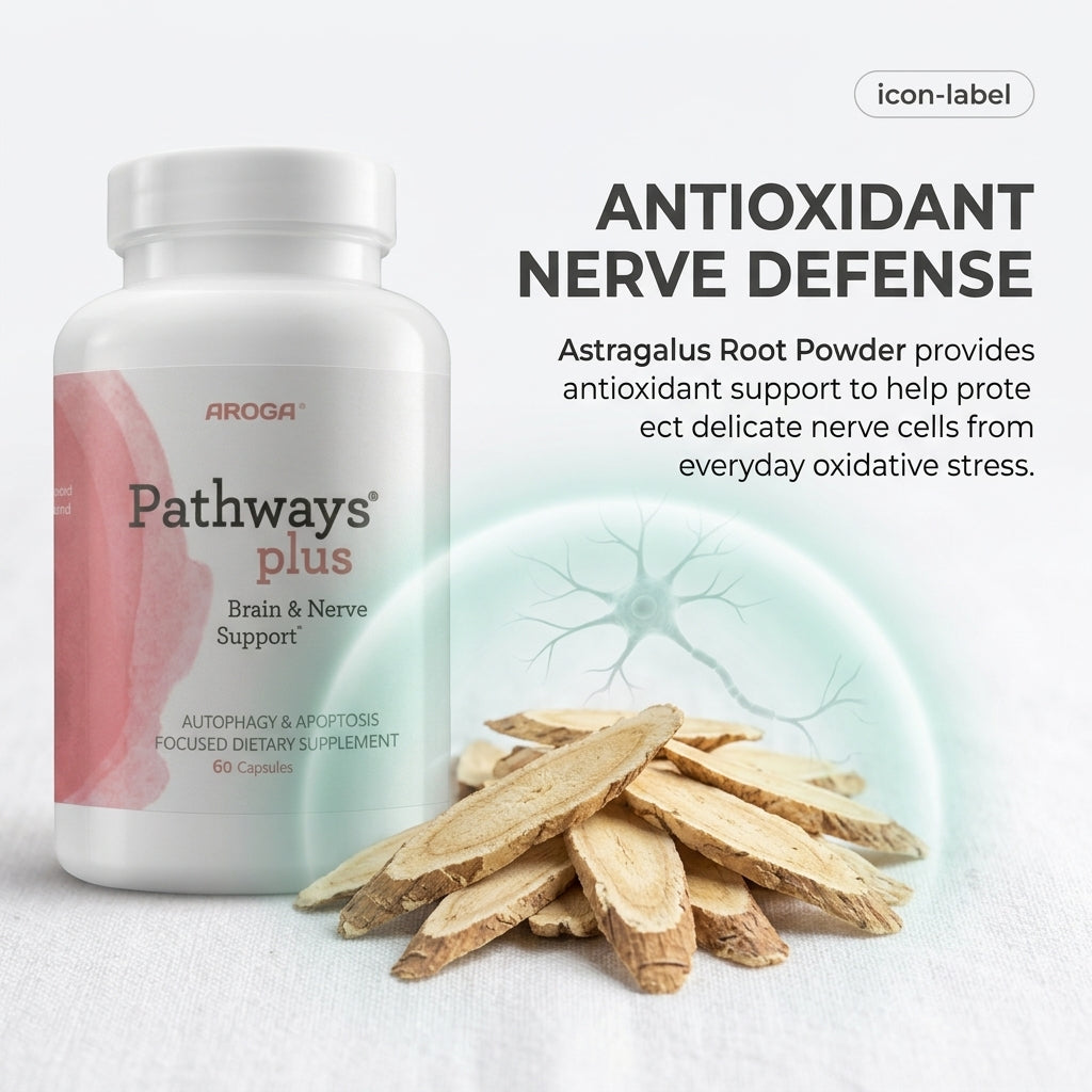 Pathways Plus Brain and Nerve Support