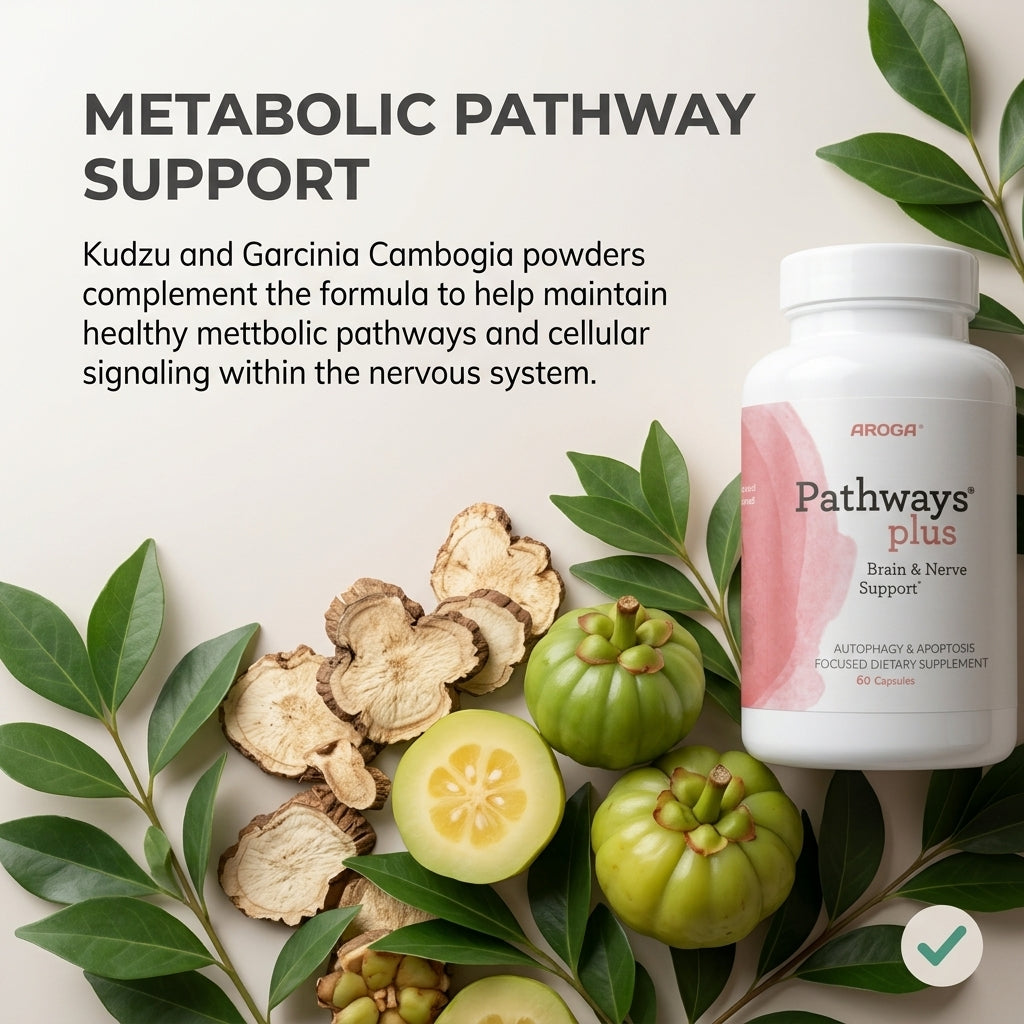 Pathways Plus Brain and Nerve Support